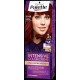 PALETTE HAIR CREAM 6-88 GLOWING CHESTUNT PALETTE HAIR CREAM 6-88 GLOWING CHESTUNT