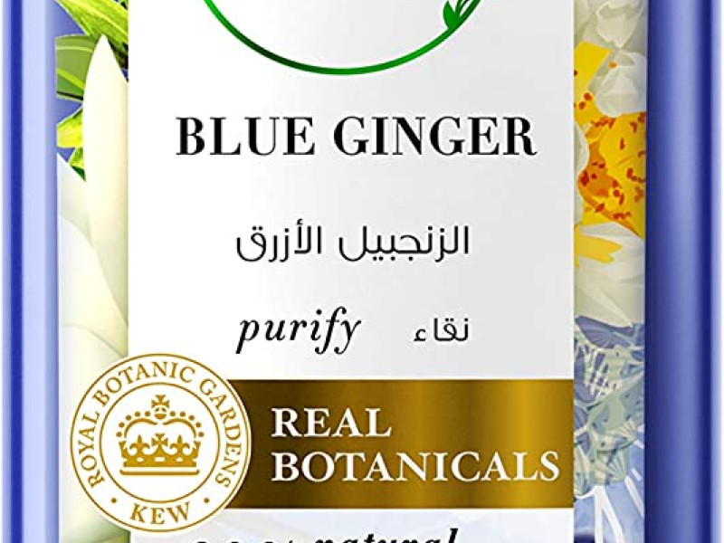هيربل اسنسز بيو رنيو بلسم الزنجبيل الازرق نقاء 400 مل هيربل اسنسز بيو رنيو بلسم الزنجبيل الازرق نقاء 400 مل