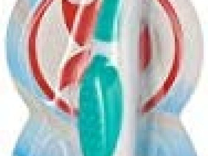 31943 مشروع محل ملابس 31943 مشروع محل ملابس