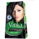 VATIKA HAIR COLOR 2/0 NATURAL BLACK VATIKA HAIR COLOR 2/0 NATURAL BLACK