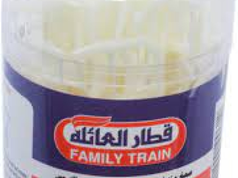 FAMILY TRAIN FLOSSTIK 60PCS FAMILY TRAIN FLOSSTIK 60PCS