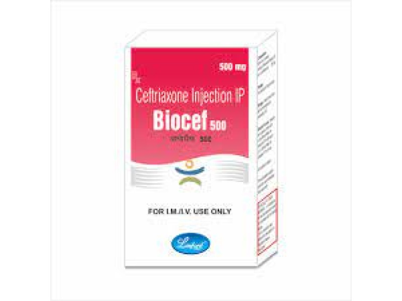BIOCEF 500 CAP