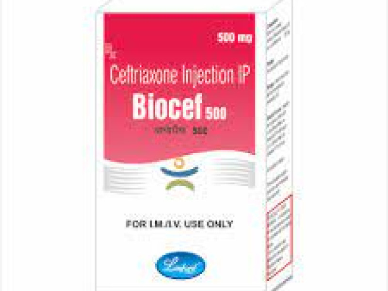 BIOCEF 500 CAP