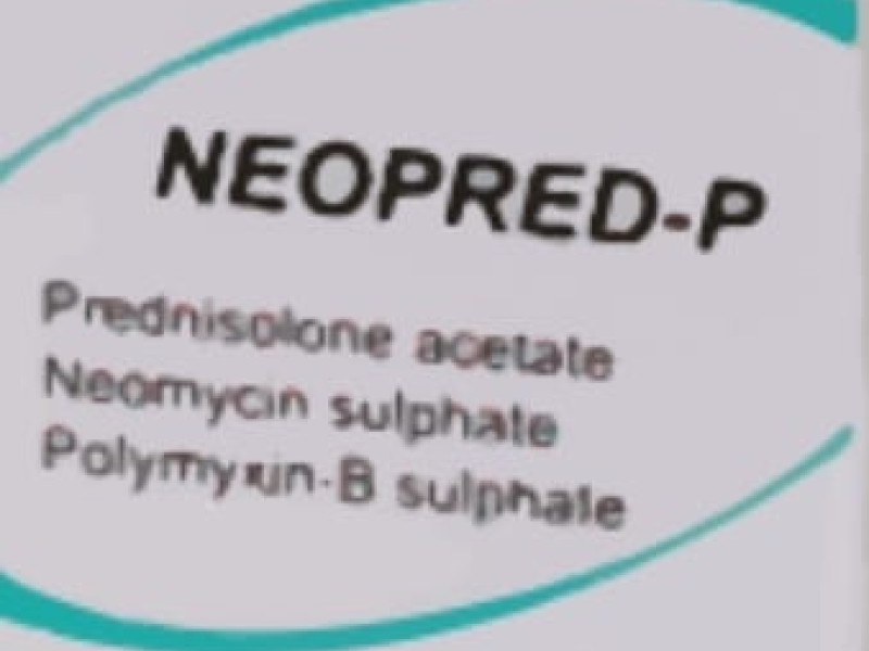 NEOPRED-P EYE DROPS