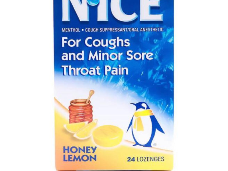 NICE S-FREE MENTHOL EUCALYPTUS 24 TAB